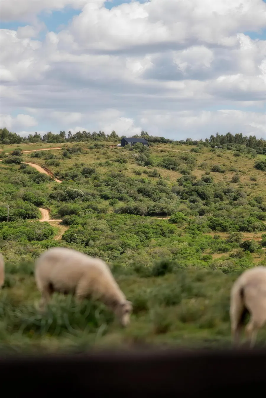 Las Taperas Chacras, Pueblo Edén — imagen 5