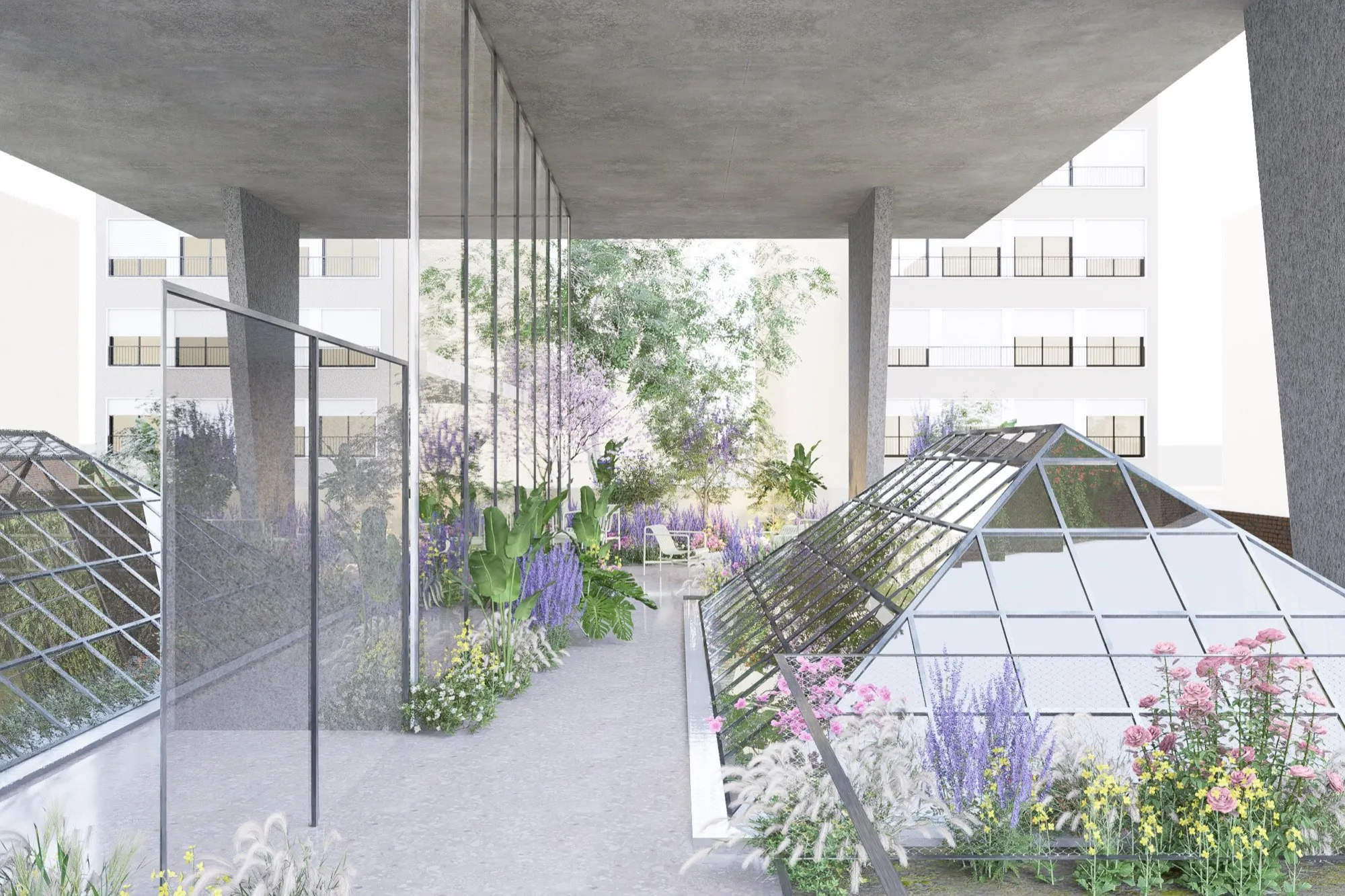 Mirlo, Barrio Sur — imagen 2